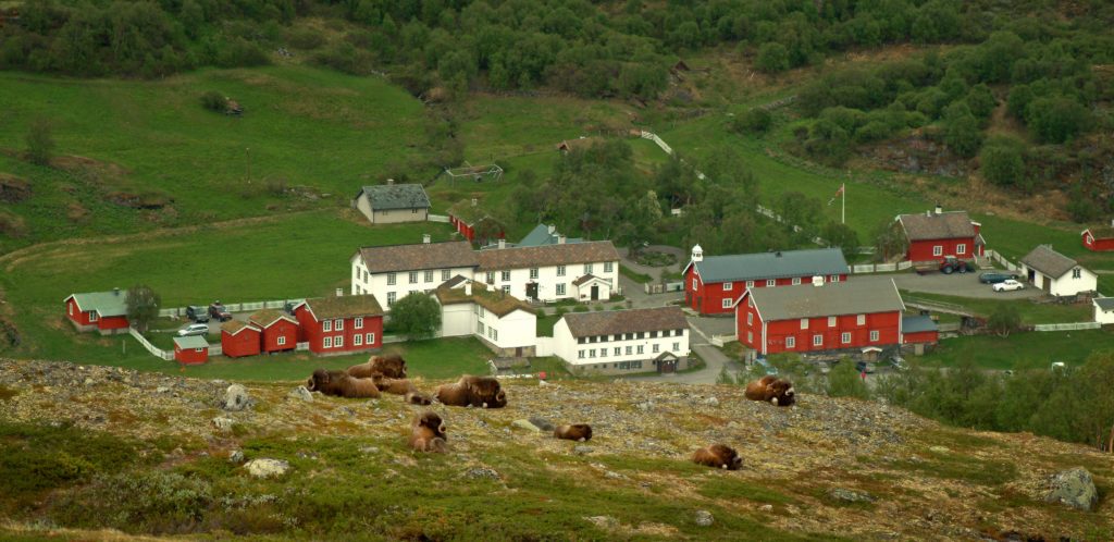 Eventyret på Kongsvold!