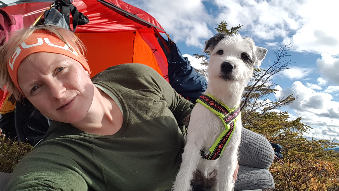 Fjellets ro gir den beste medisinen!