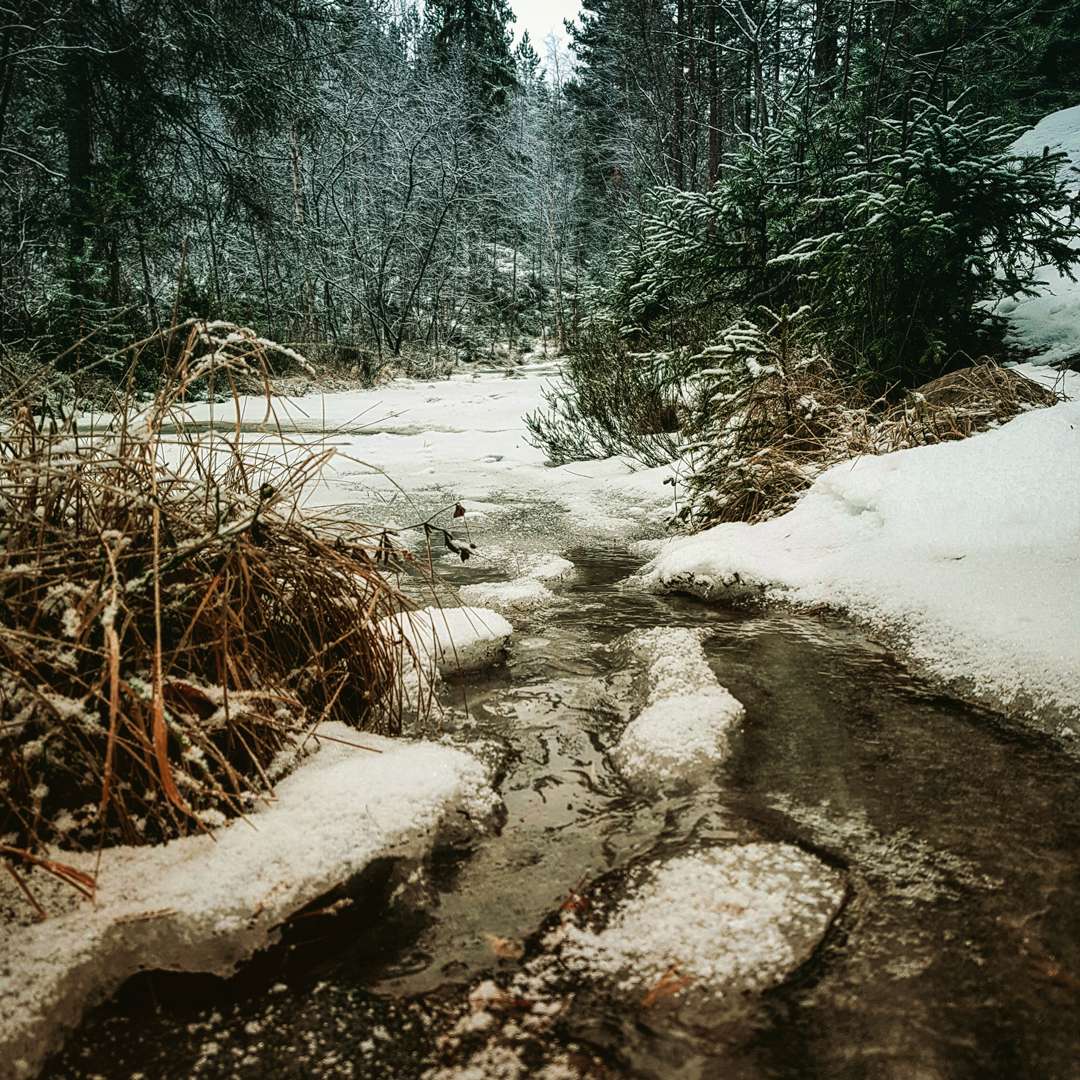 Vinteren kommer! Tur til Eikeskar på Notodden