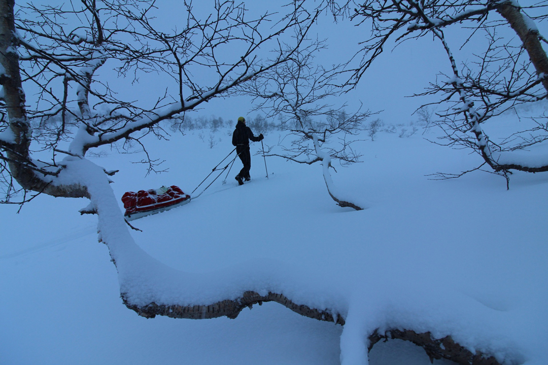 Førjulstur i Stølsheimen