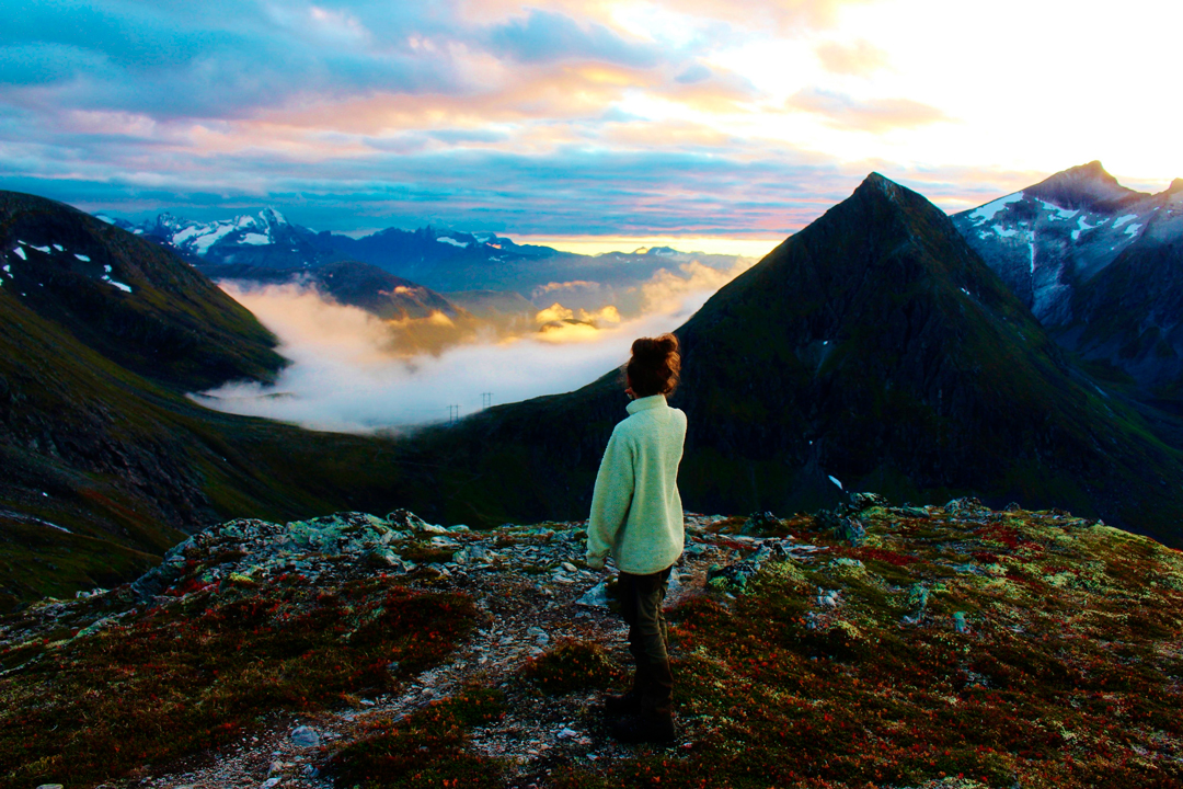 Mennesket (og) natur