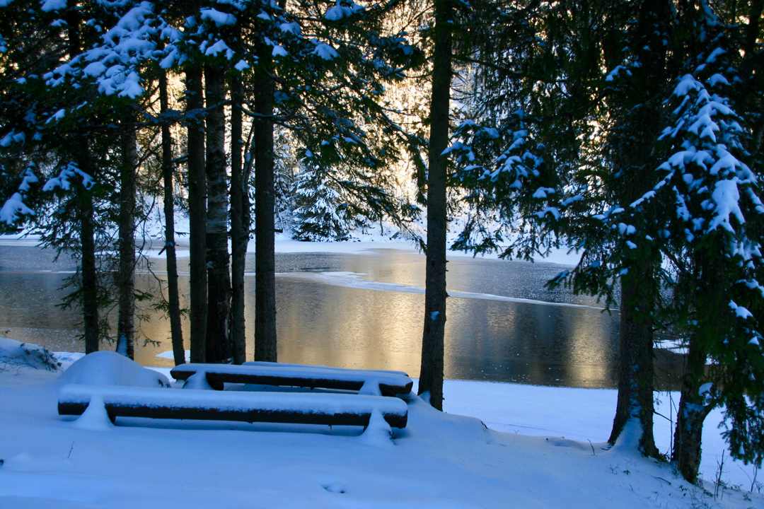 Desemberlys ved Svartoren