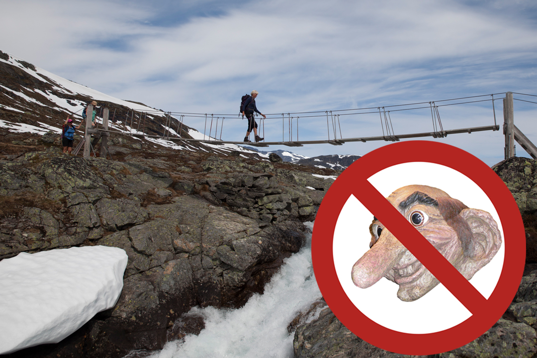 Ikke mat nettrollene!