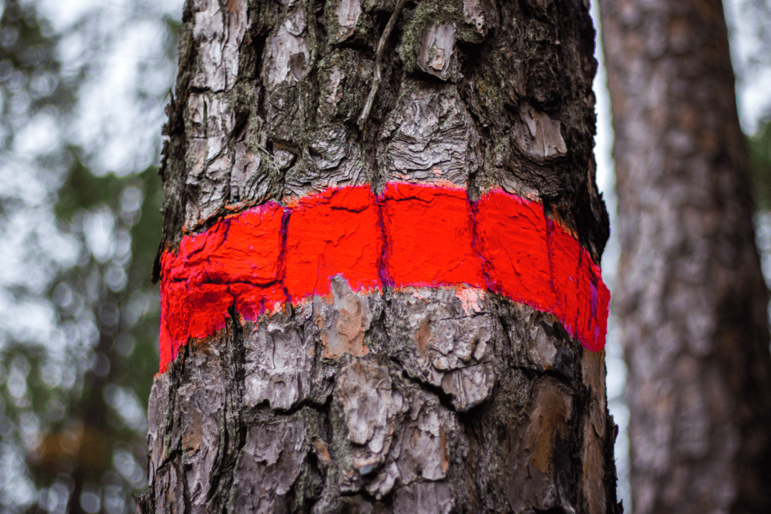 Oppmerking i skog og fjell! Ikke gå deg vill.