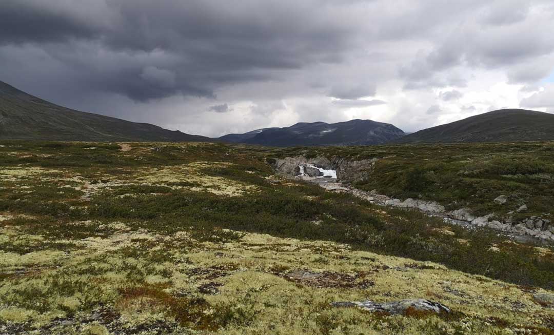 På veg mot Dovres tak!