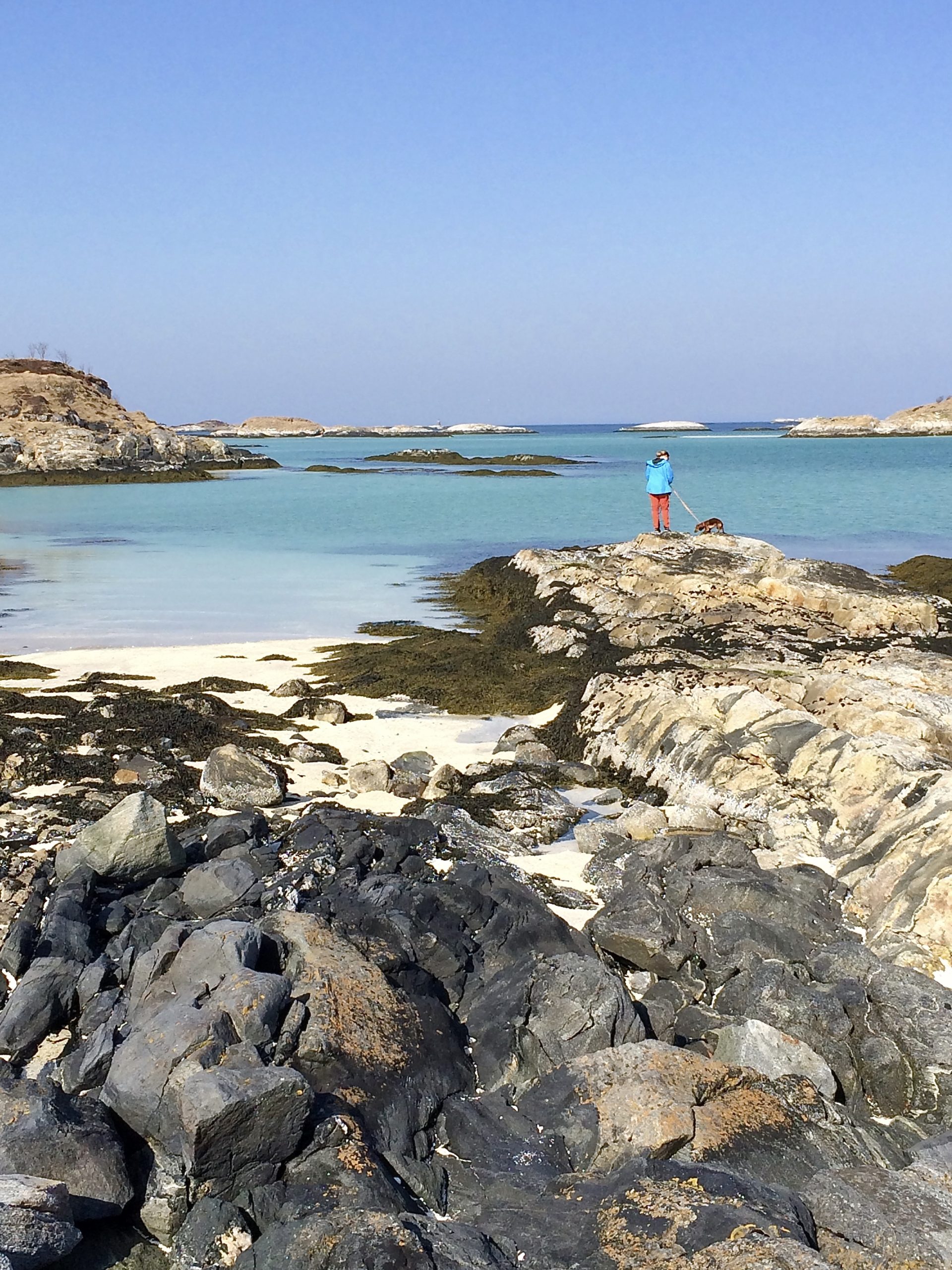 Møt våren på Sommarøya