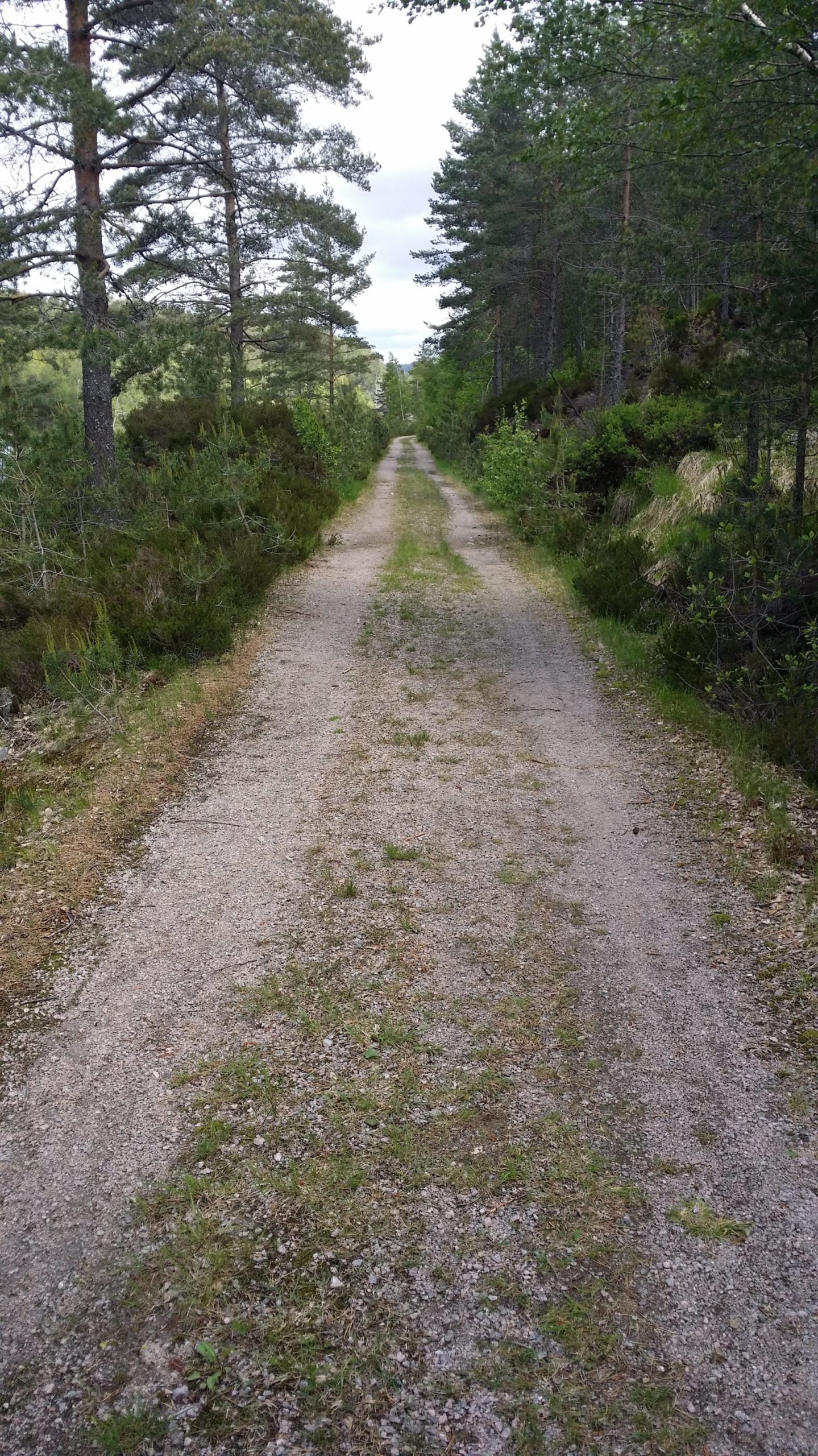 I Setesdalsbanens spor