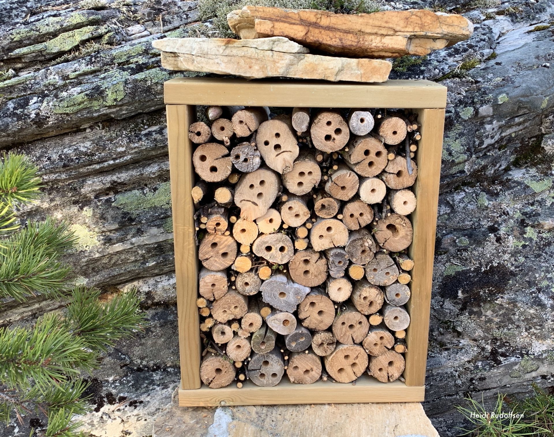 Hjelp naturen litt! Lag superenkle insektshotell