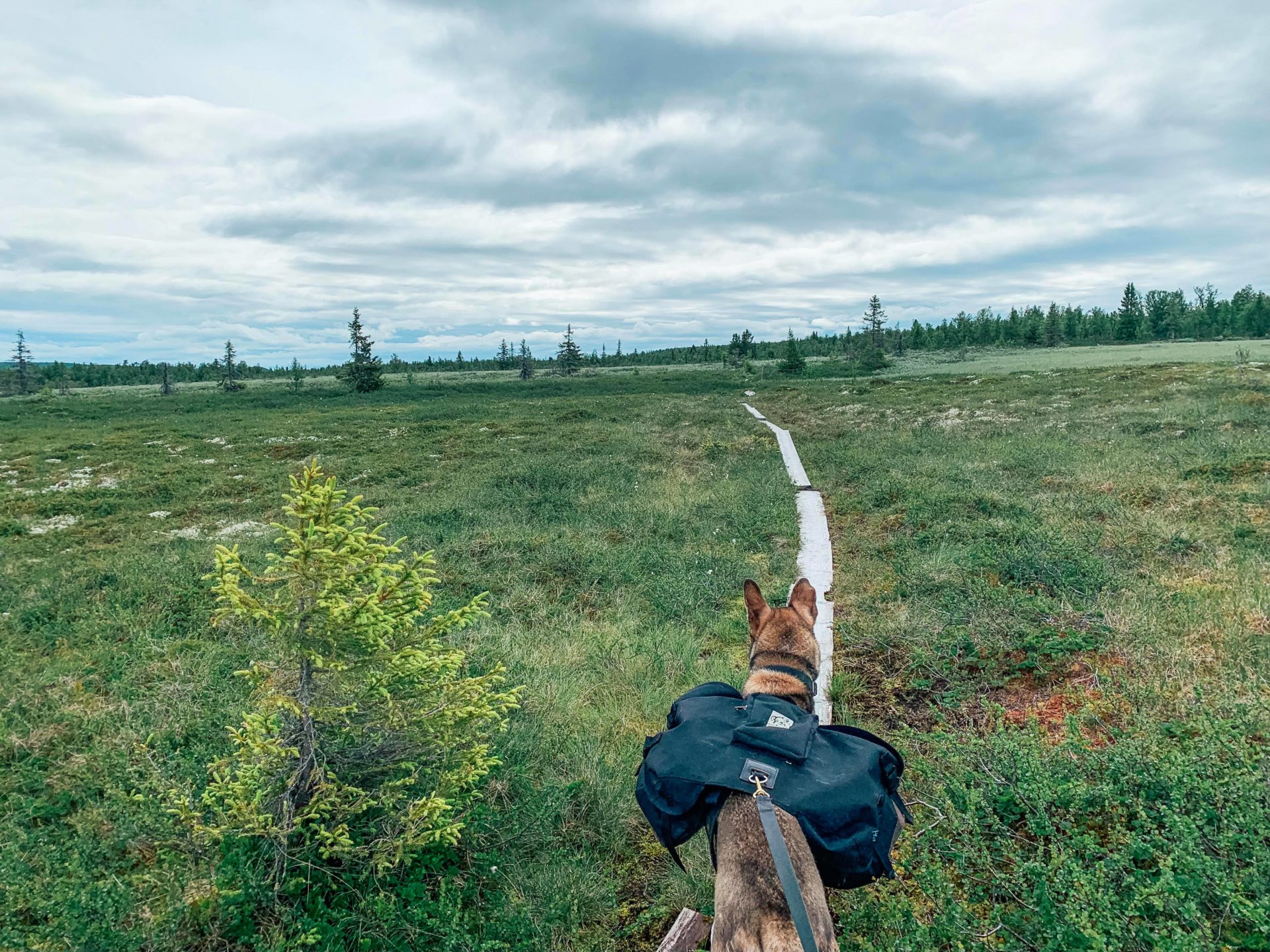 Langturen fra Lillehammer til Dovrefjell vol.2