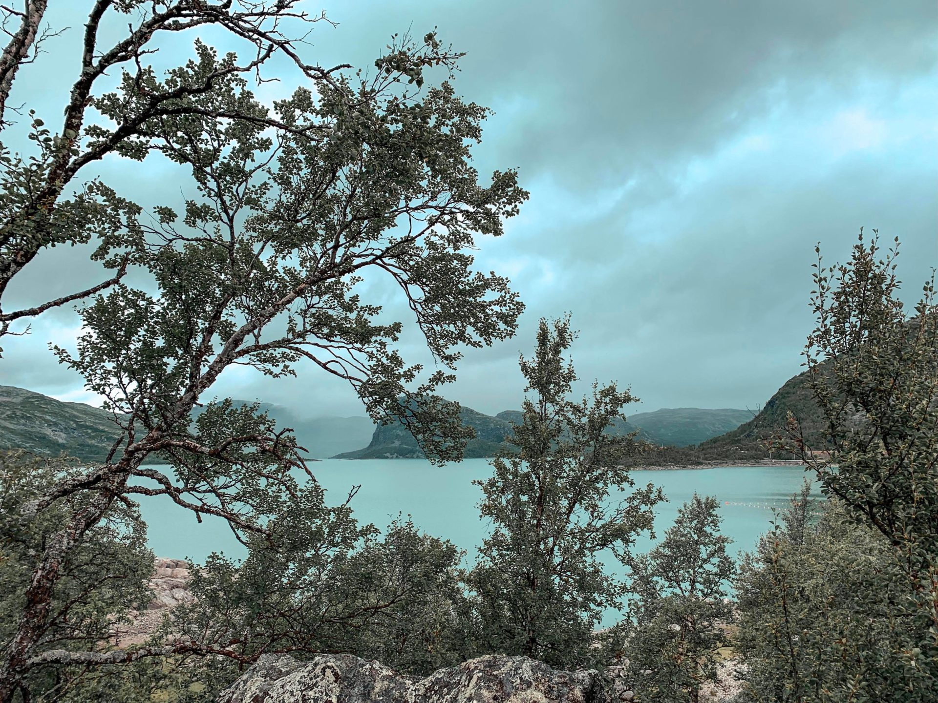 Gråværsdag på fjellet