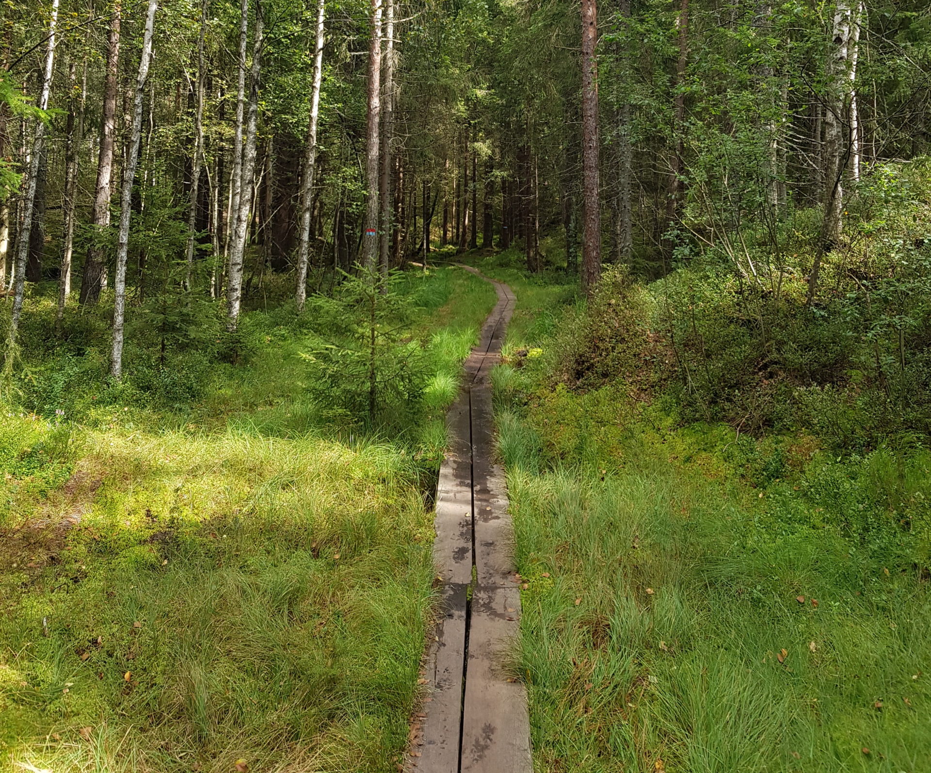 Alenetur i Østmarka, Oslo
