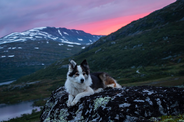 Trollheimen i sommerferien