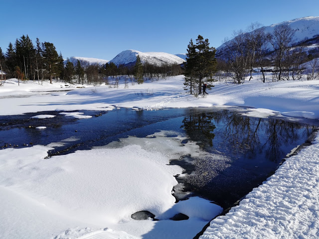 Ver derfor ikkje urolege for morgondagen…