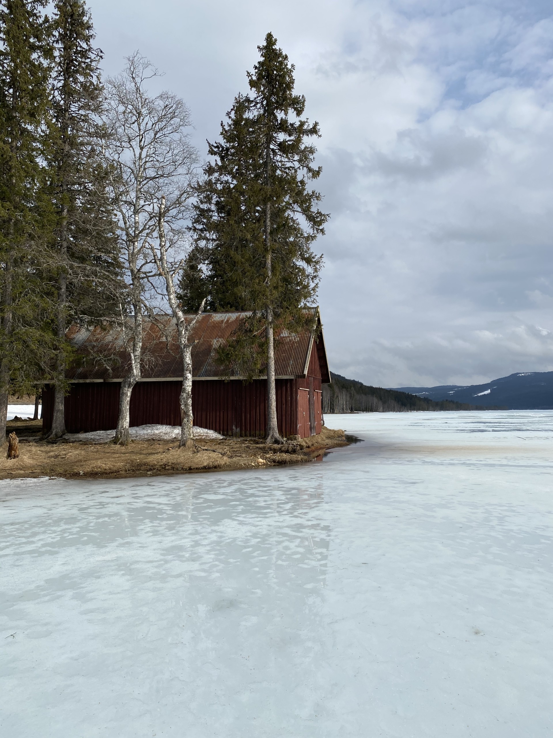 Pilketur med fjortisen!