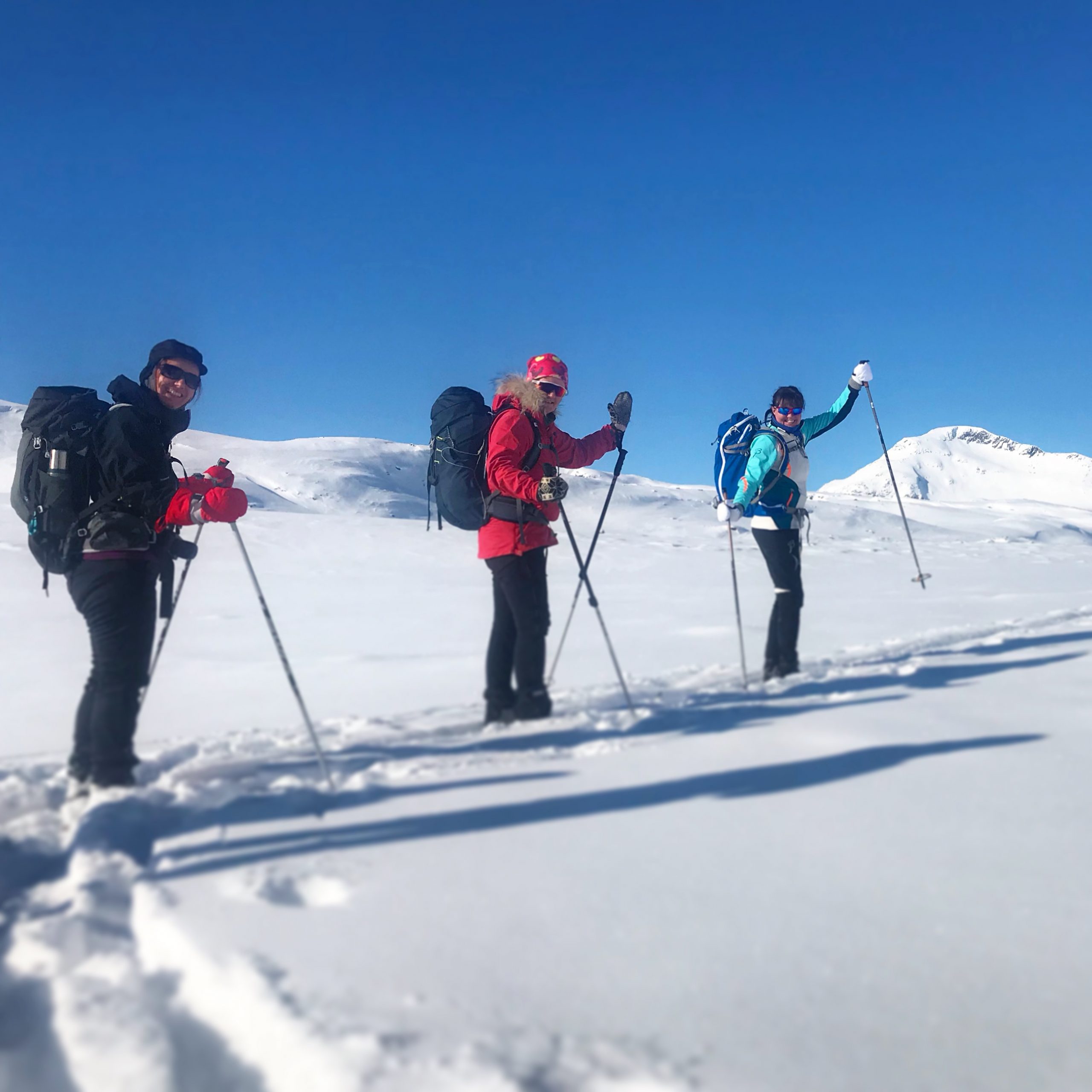 Aktiv sommer for en bedre vinter!