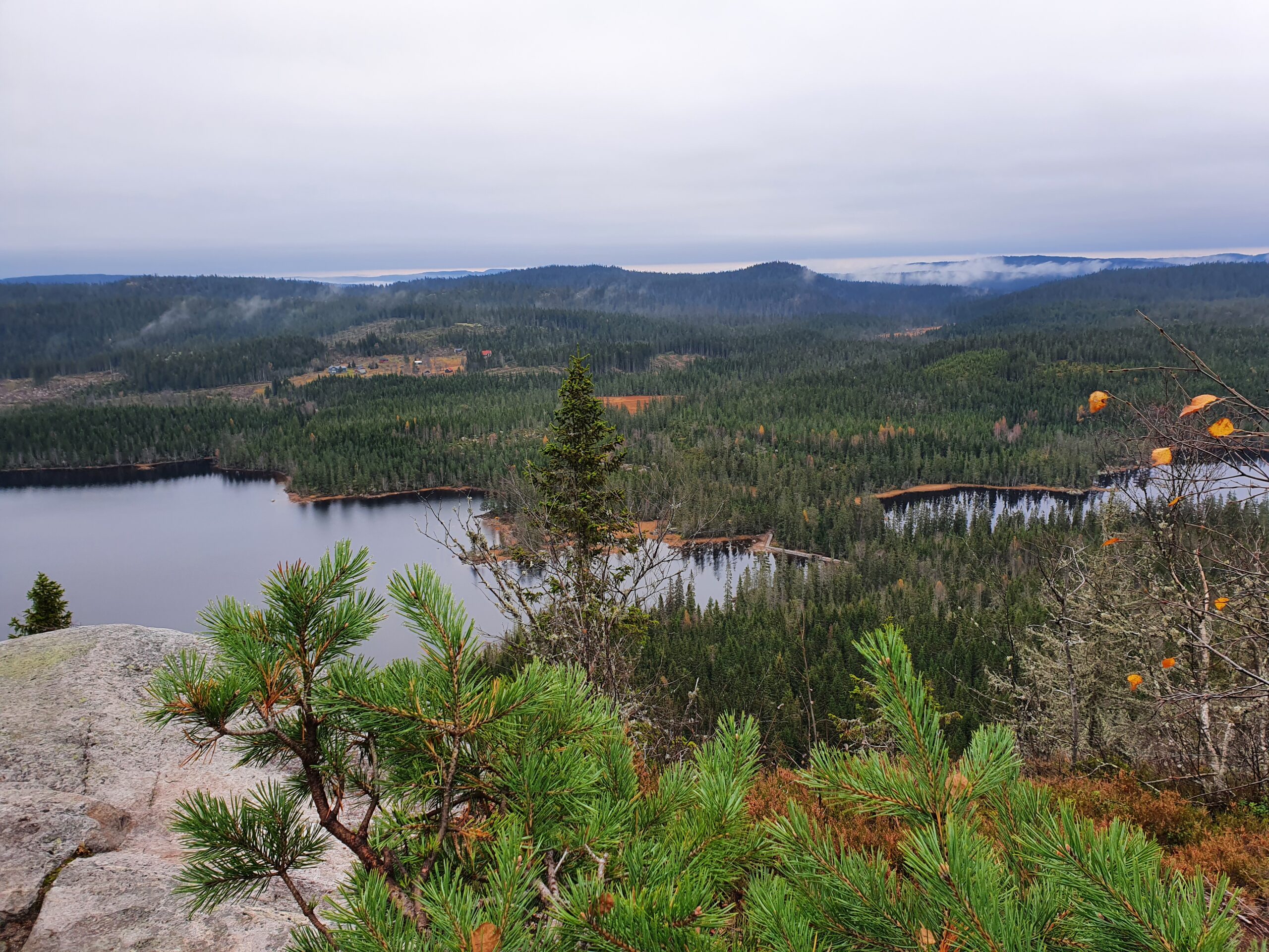 Nordmarka på langs oktober 2022