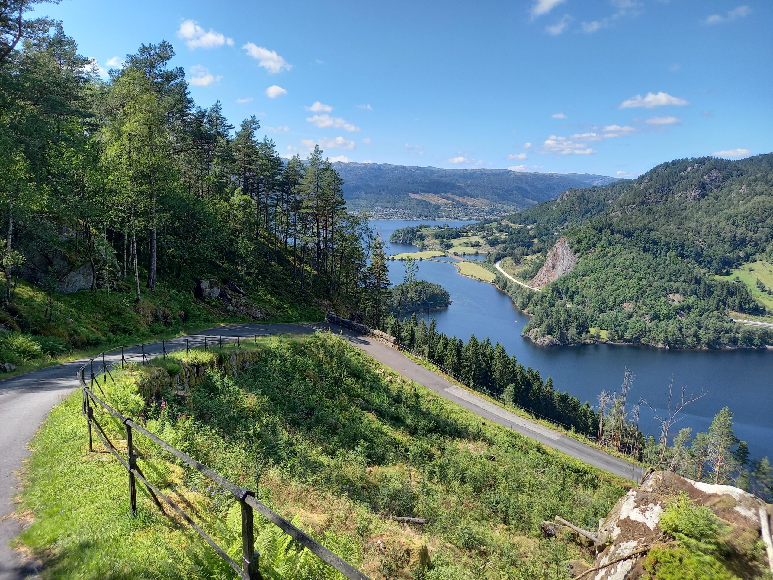 Vestlandske Hovedveg over Tronåsen – et kulturminne