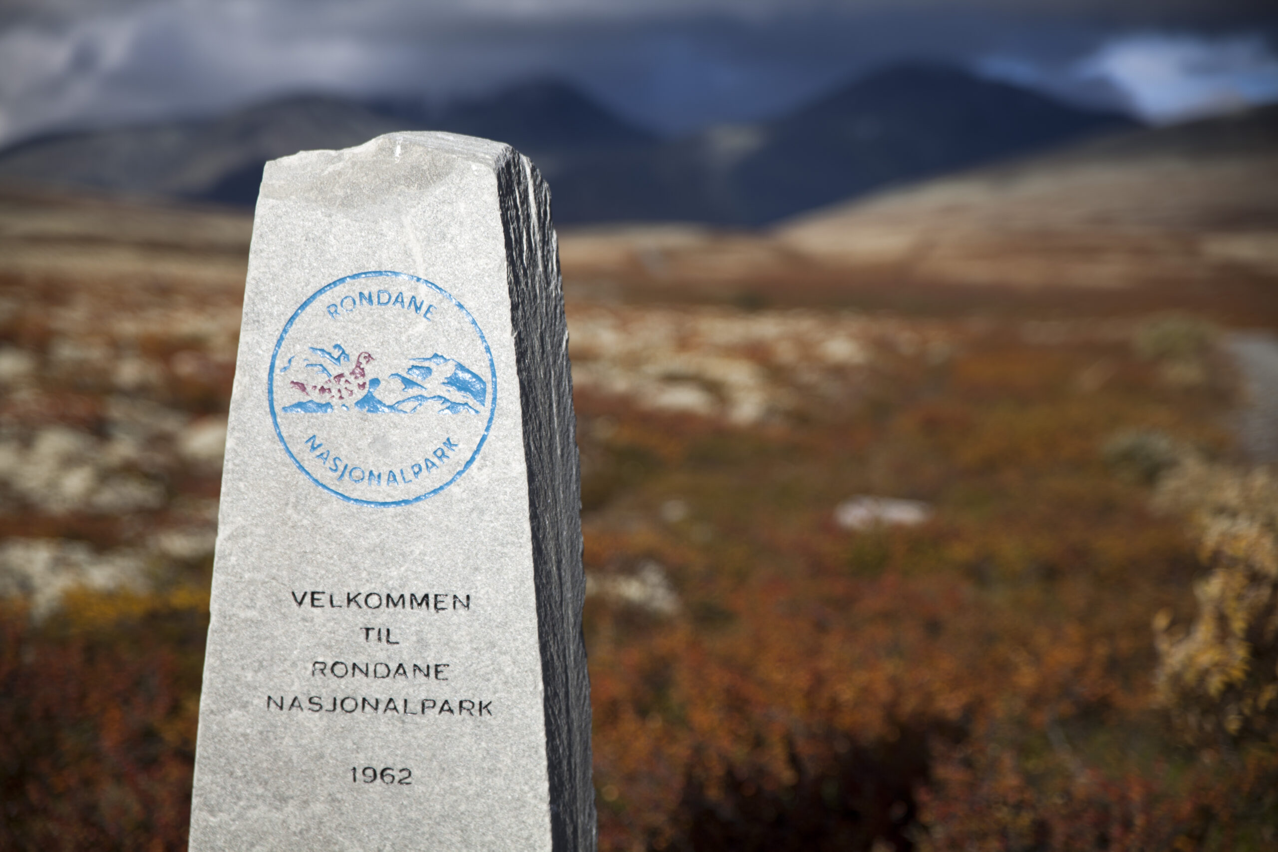 Naturreservat og verneområder – hva er forskjellen?