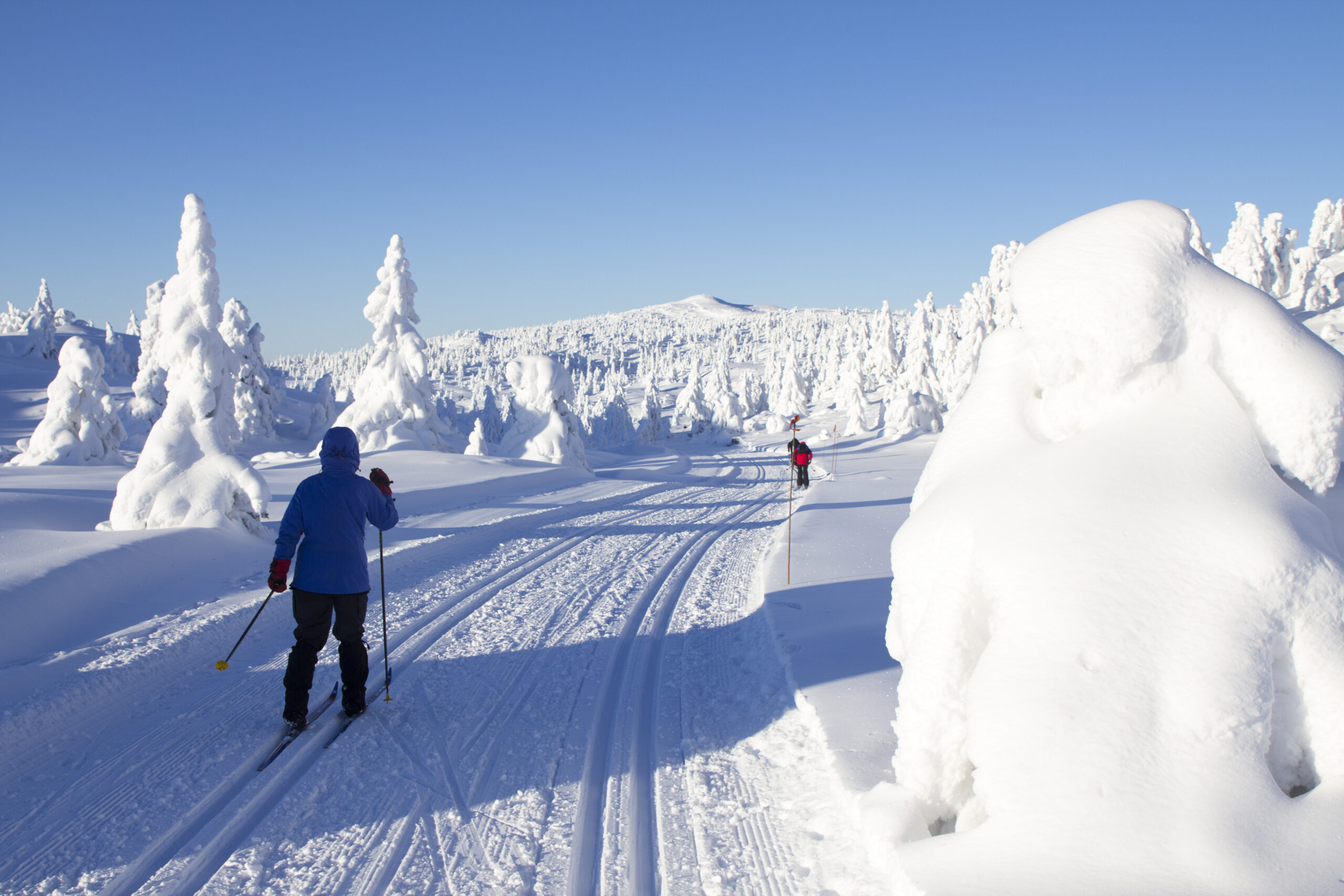 “Hei” på tur: Hvorfor hilsing er vanlig ute i naturen, men sjelden i byen?