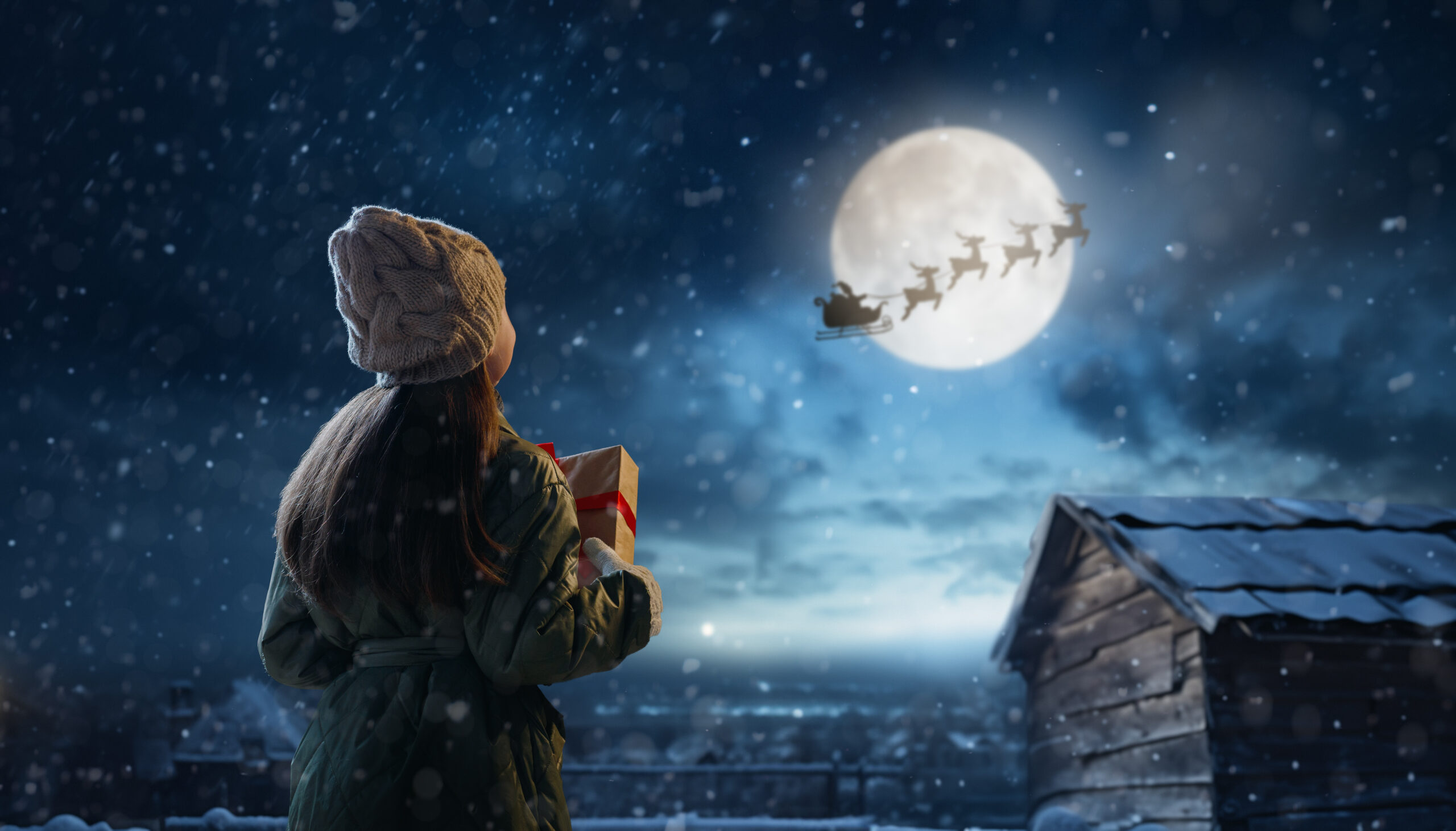 Hva skal du gi i julegave i år?