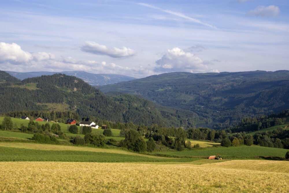 Familietur til Pillarguritoppen i vakre Gudbrandsdalen