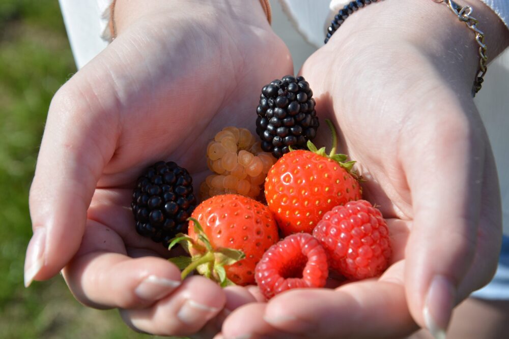 Smaker bærene rart? Dette kan være grunnen