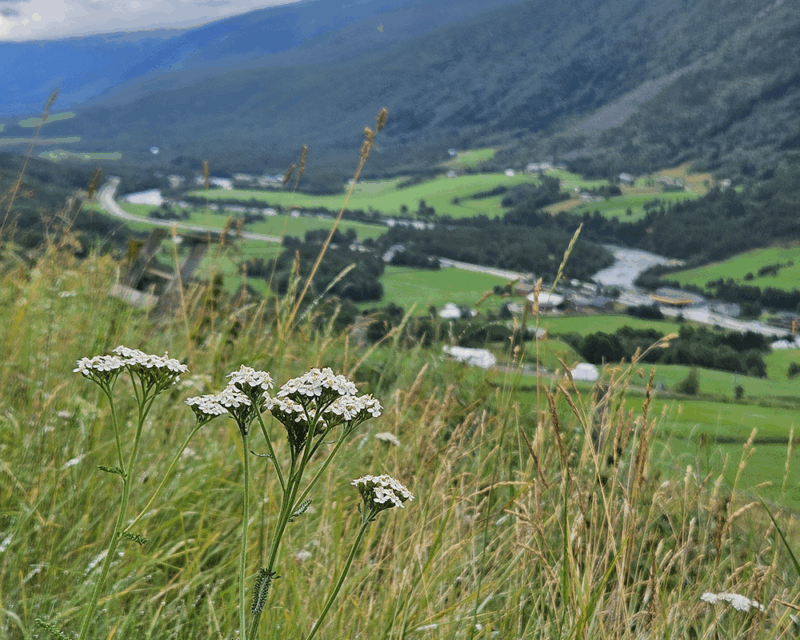 3. Etappe Tour de Dovre: Fra Grimsdalshytta til Dombås