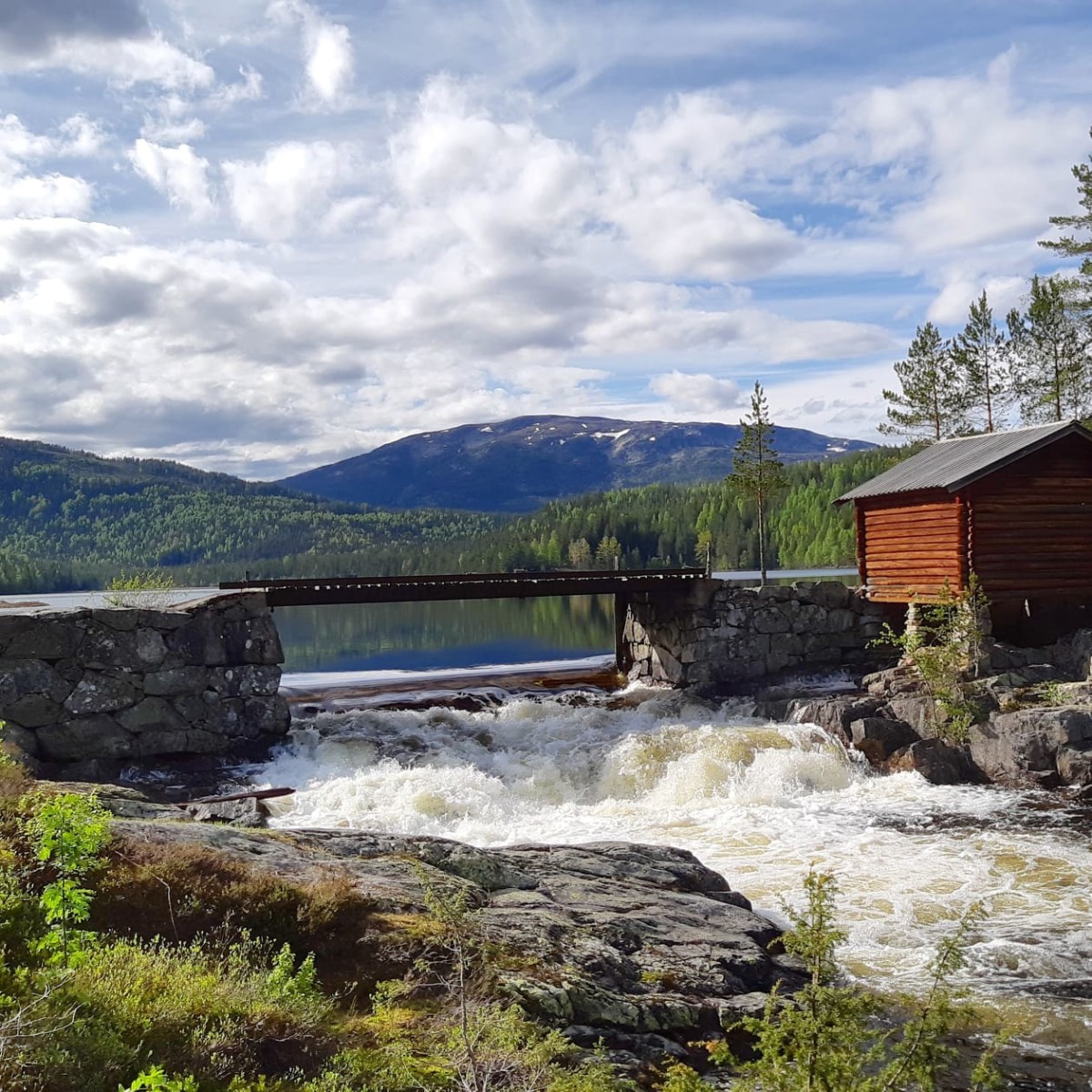 Buvasskoia ved Buvannet – turperle i Hallingdal