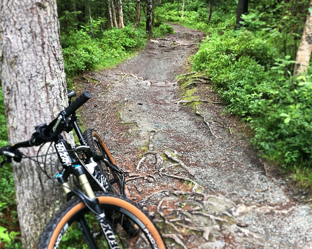 Turtips: terrengssykling i Bymarka i Trondheim.