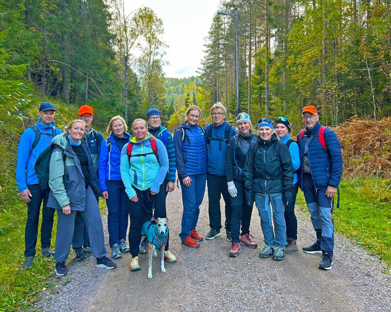 Glad turfølge i Lillomarka