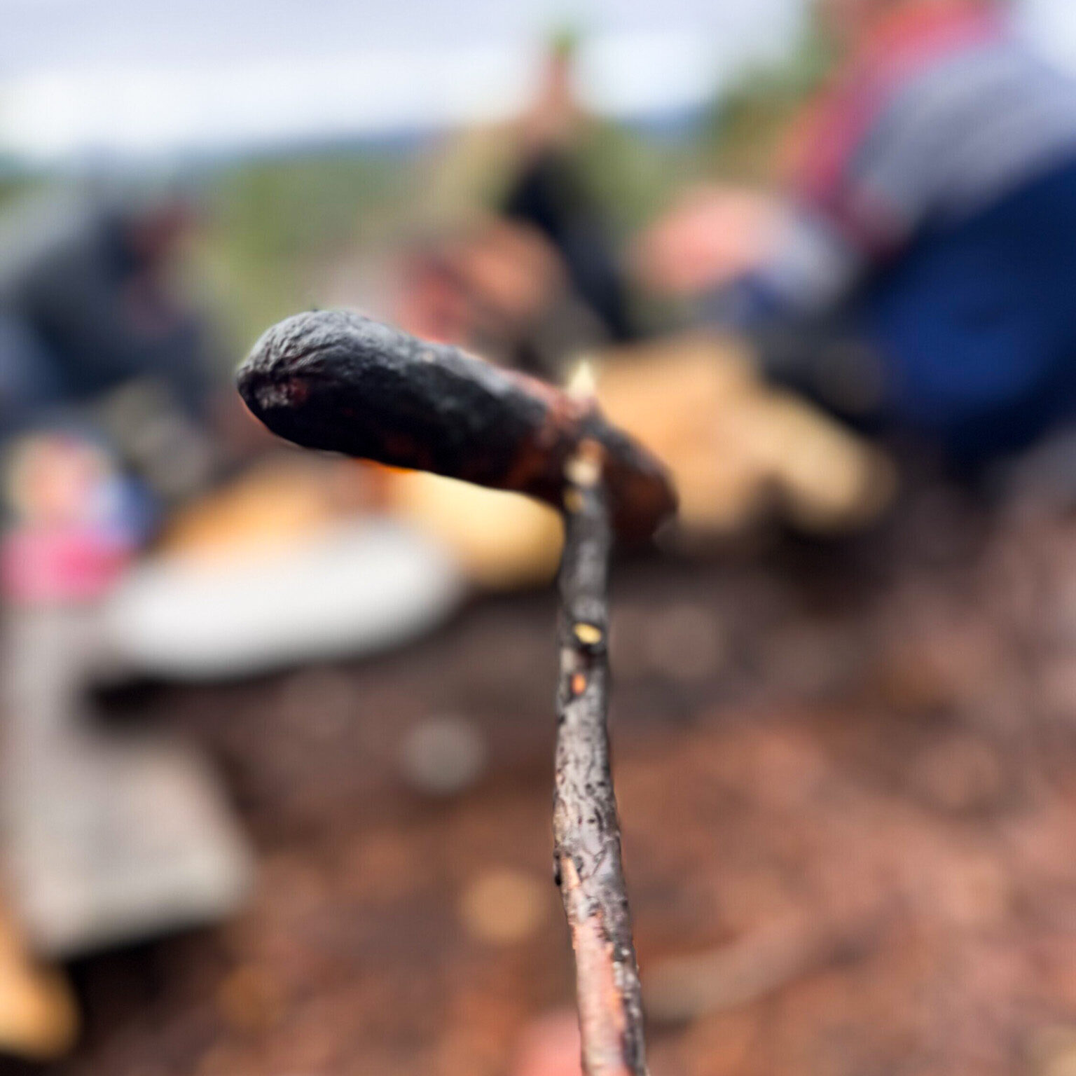 Lettere brent grillpølse