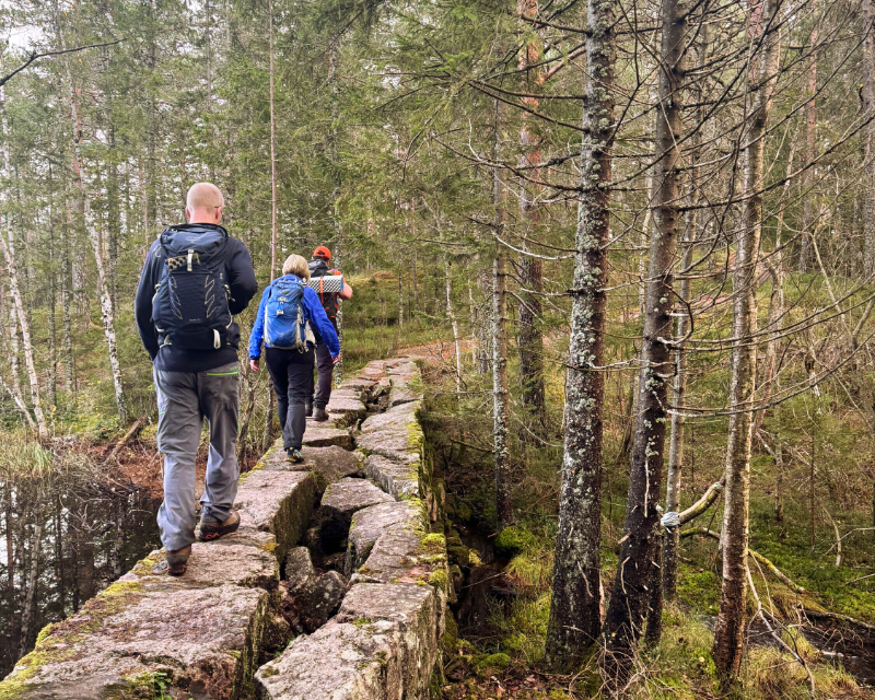 Derfor elsker vi en god høsttur i marka