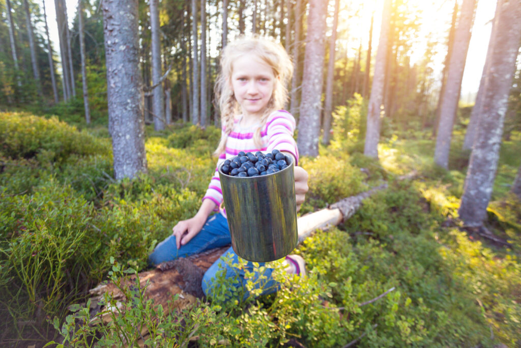 hiking in the mountains. girl holding a cup of blueberries