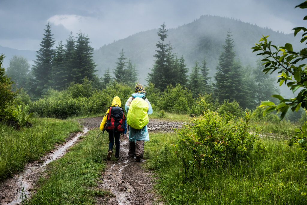 Back view of two hikers man and teenager in raincoats with backpacks walking on forest trail in the fog.